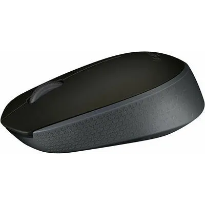 LOGITECH M171